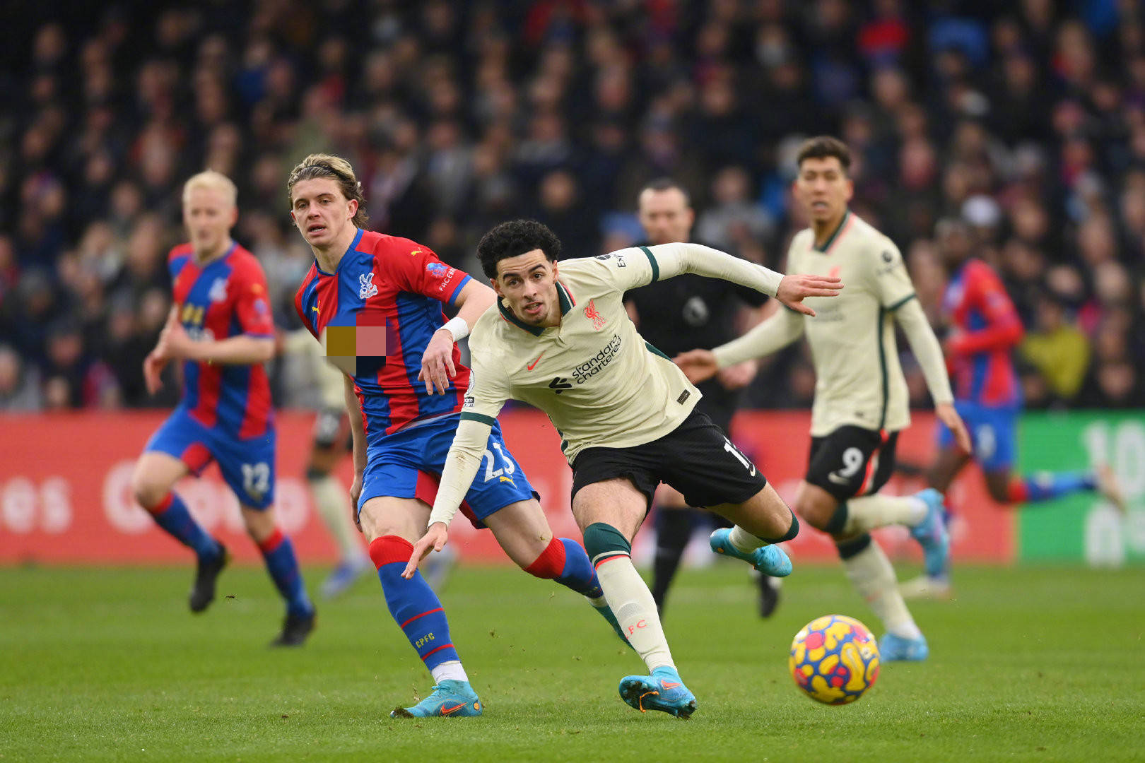 26状元大热！卡梅伦·布泽尔8场比赛创下30年来纪录